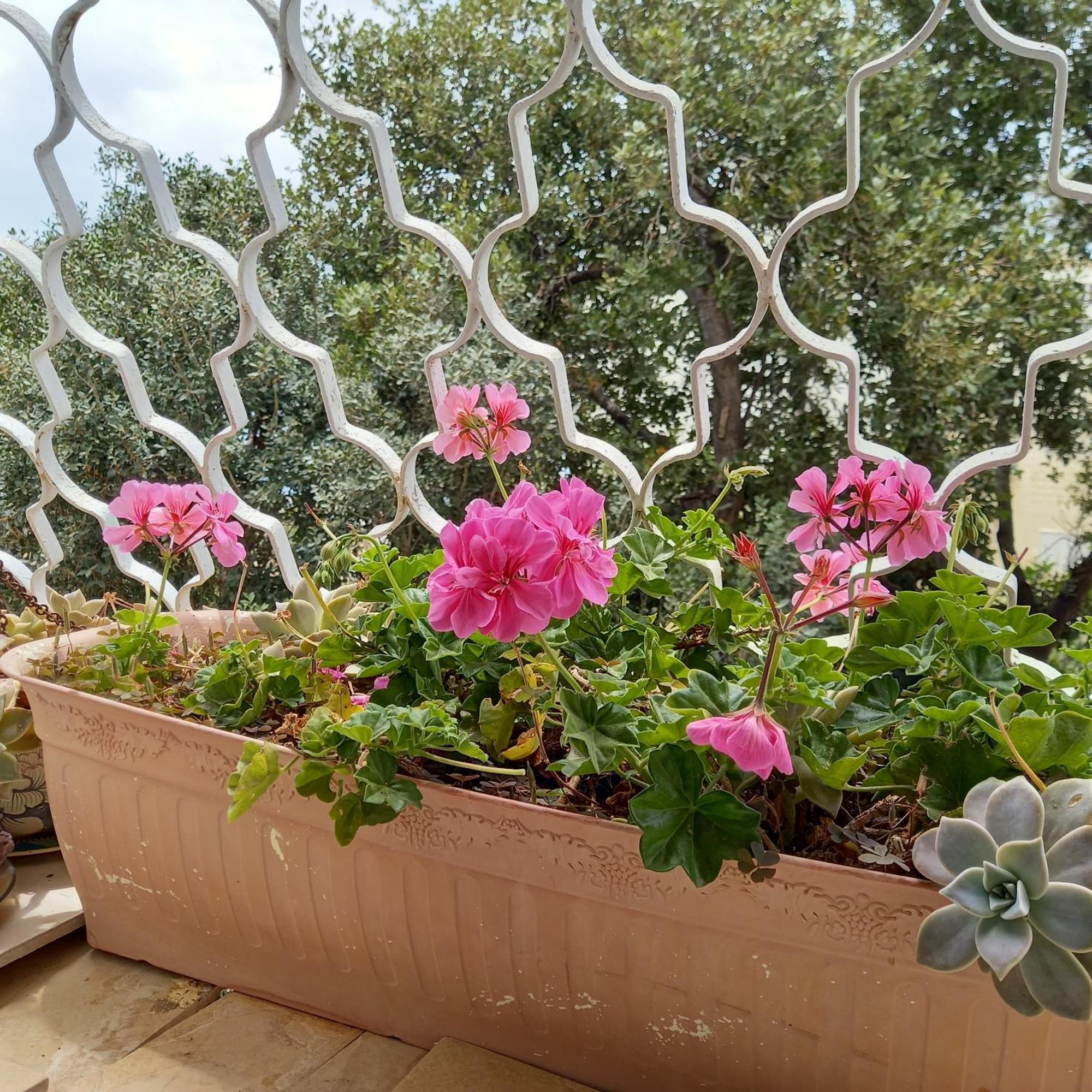 Stella Maris Hosting Apartment Haifa Ngoại thất bức ảnh