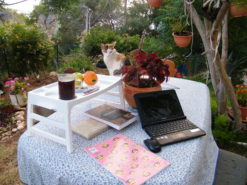 Stella Maris Hosting Apartment Haifa Ngoại thất bức ảnh